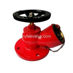 Landing Valve Flange Type